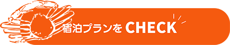 宿泊プラン