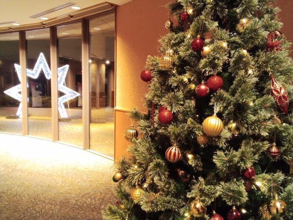 ロビーがクリスマス仕様になりました♪