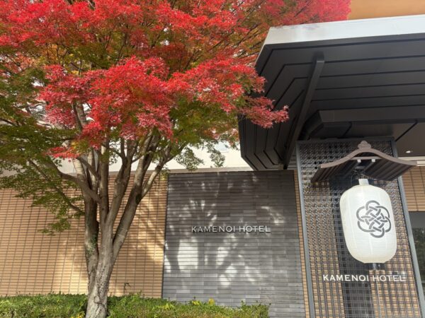 紅葉が見頃を迎えております