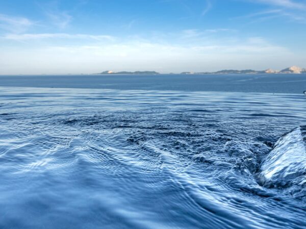 【関西NO.1のサウナ】温泉宿・ホテル総選挙2022