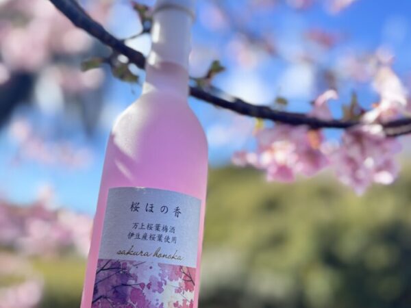 【期間限定】　春を感じる　春の特別なお酒