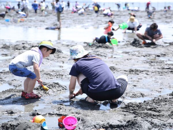 春のおすすめ「大洗サンビーチ」潮干狩り