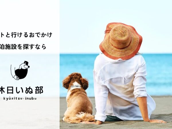 『休日いぬ部』で紹介されました！