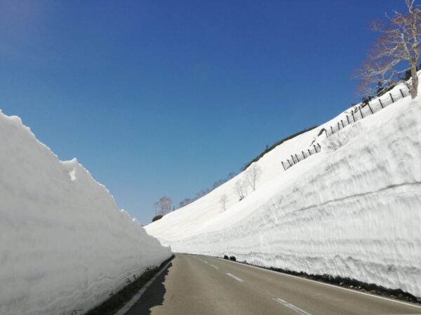 【道路情報】4/15八幡平アスピーテライン開通