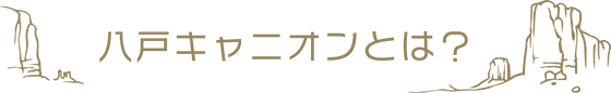 什麼是峽谷