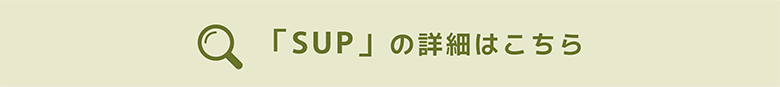 TAZAWAKO 橫幅