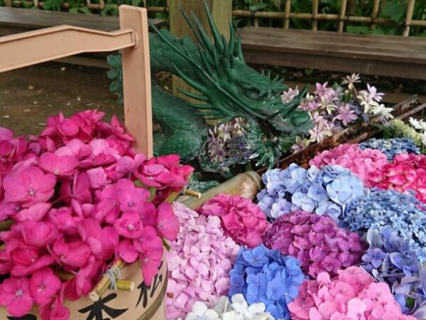 梅雨のおすすめ「二本松寺」潮来あじさいまつり