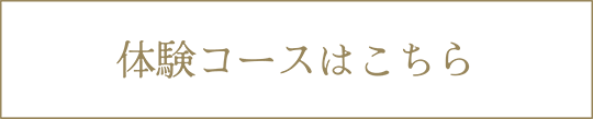 체험 코스
