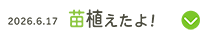 6月17日