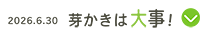 6月30日