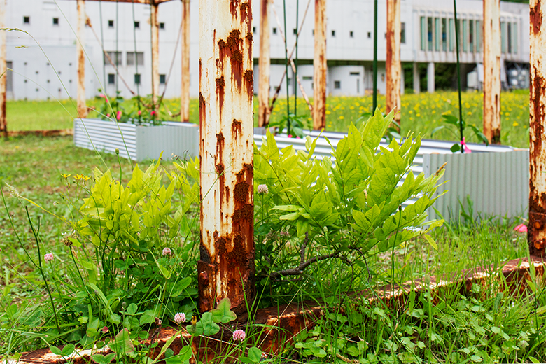 blog