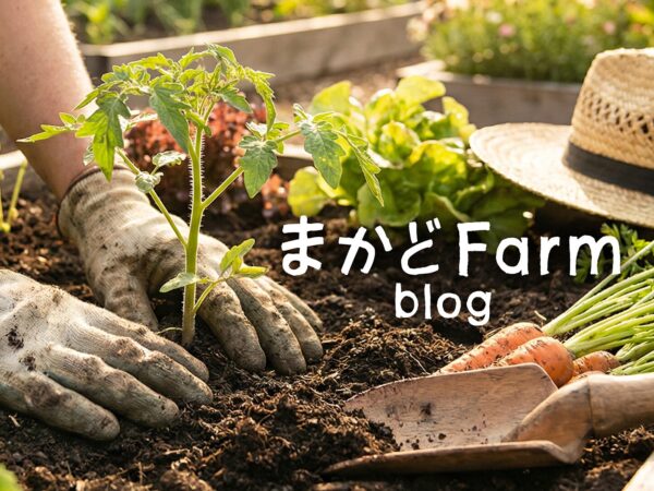 Makado Farm Blog