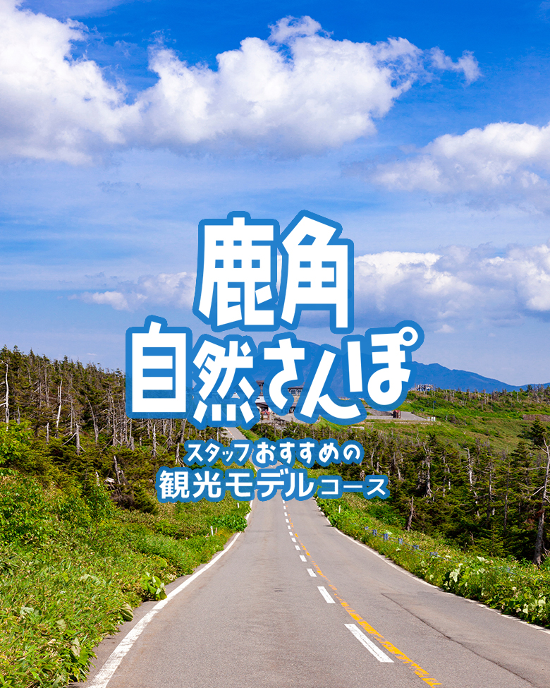 鹿角観光モデル
