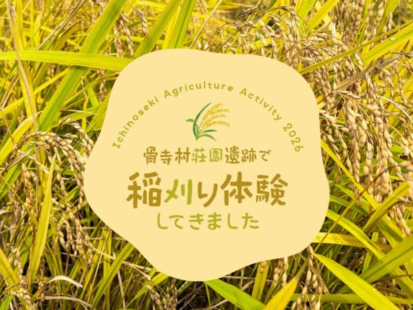 国の重要文化的景観で「稲刈り体験」！