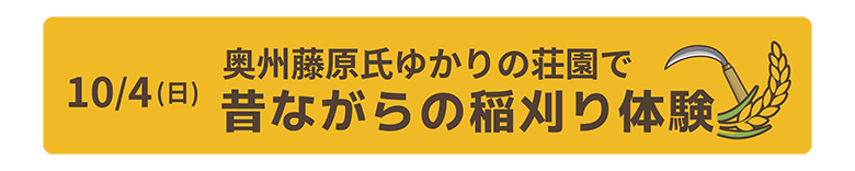 新規