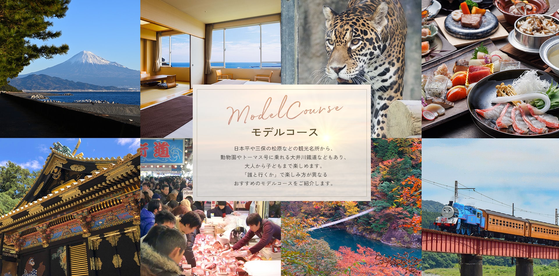 モデルコース：大人の紅葉旅、焼津を知る旅、動物乗り物旅