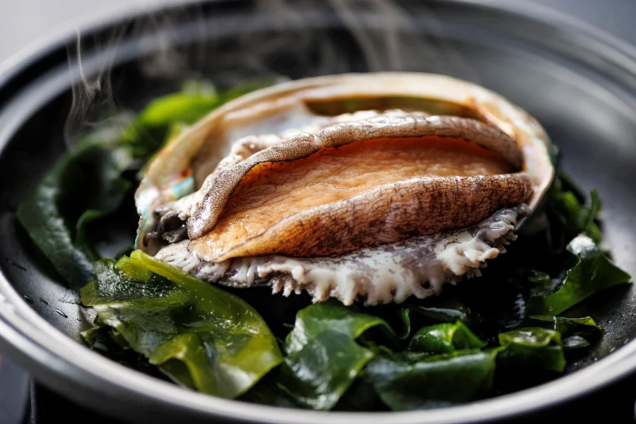 焼津ミナミマグロ豪華七種盛と特選和牛の料理長おすすめ特別会席【2026年6月～8月】