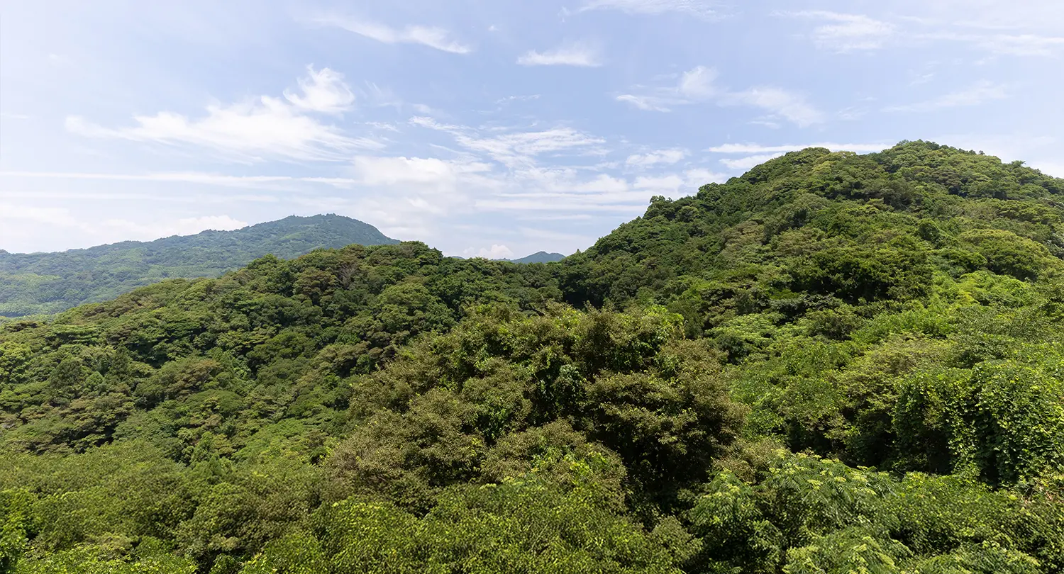 【フォレストビュー】スーペリアフォース（バス付）