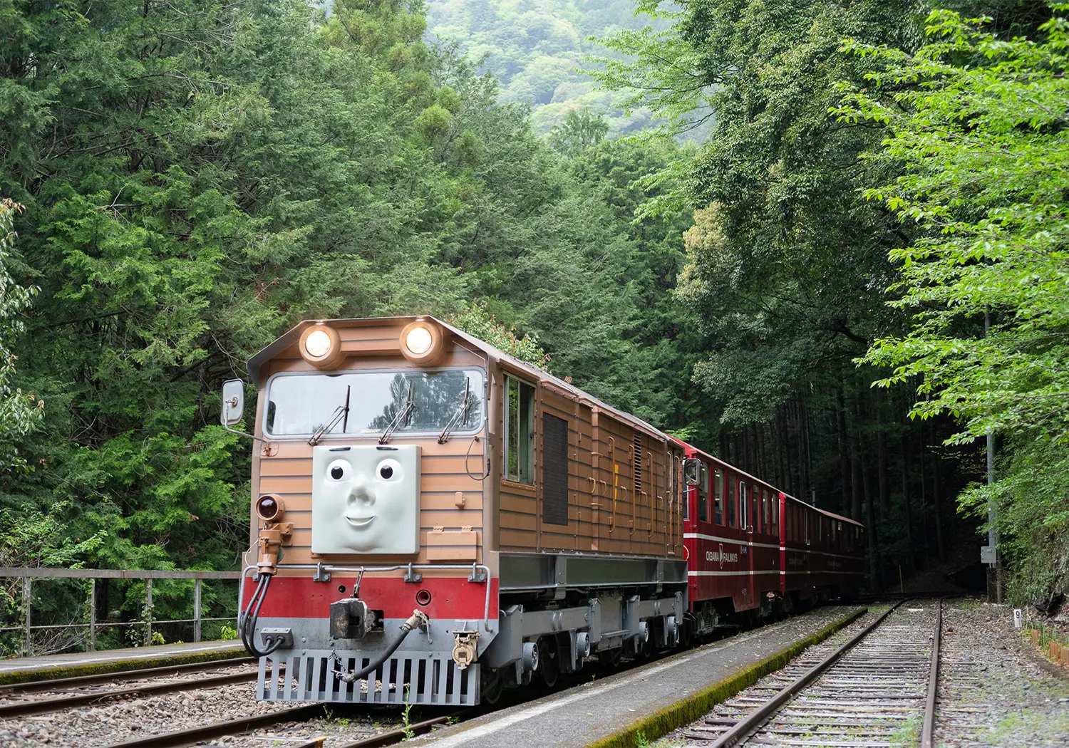 大井川鐵道できかんしゃトーマス号と対面