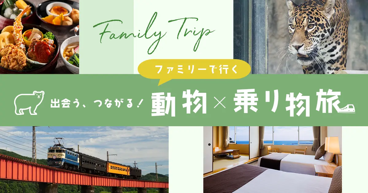 適合全家的“動物×交通工具之旅”
