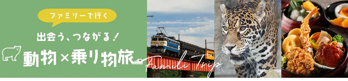 ファミリーで行く「出会う、つながる！動物×乗り物旅」