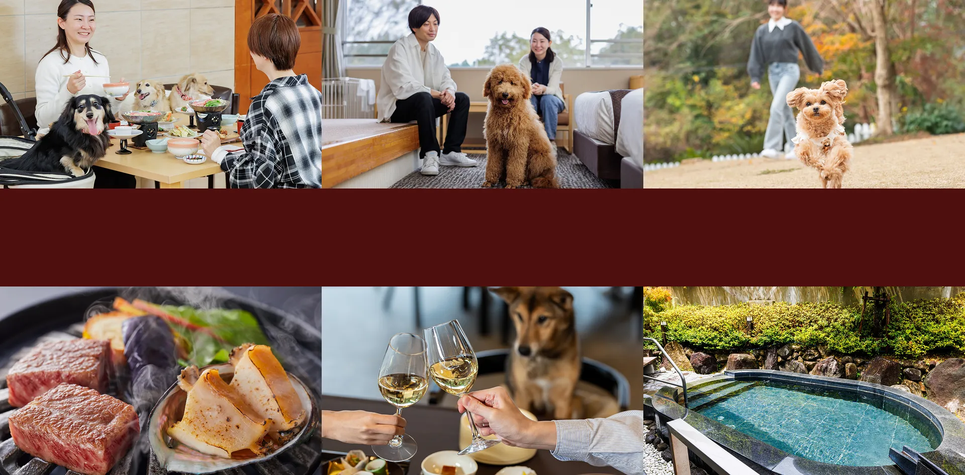 わんわんパラダイス 奈良生駒