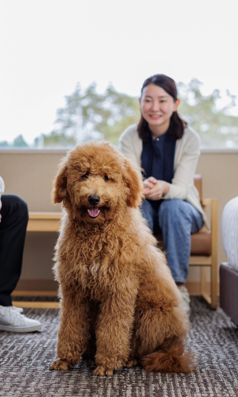 ワンちゃんの宿