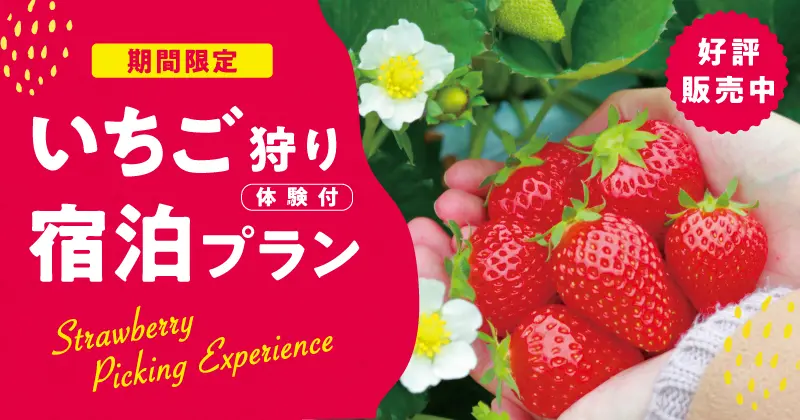 いちご狩り付きプラン