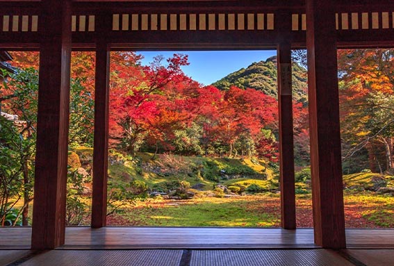 清水寺本坊庭園